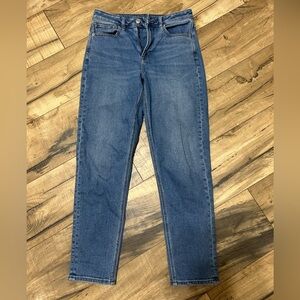 American Eagle Outfitters Classic Blue Jeans